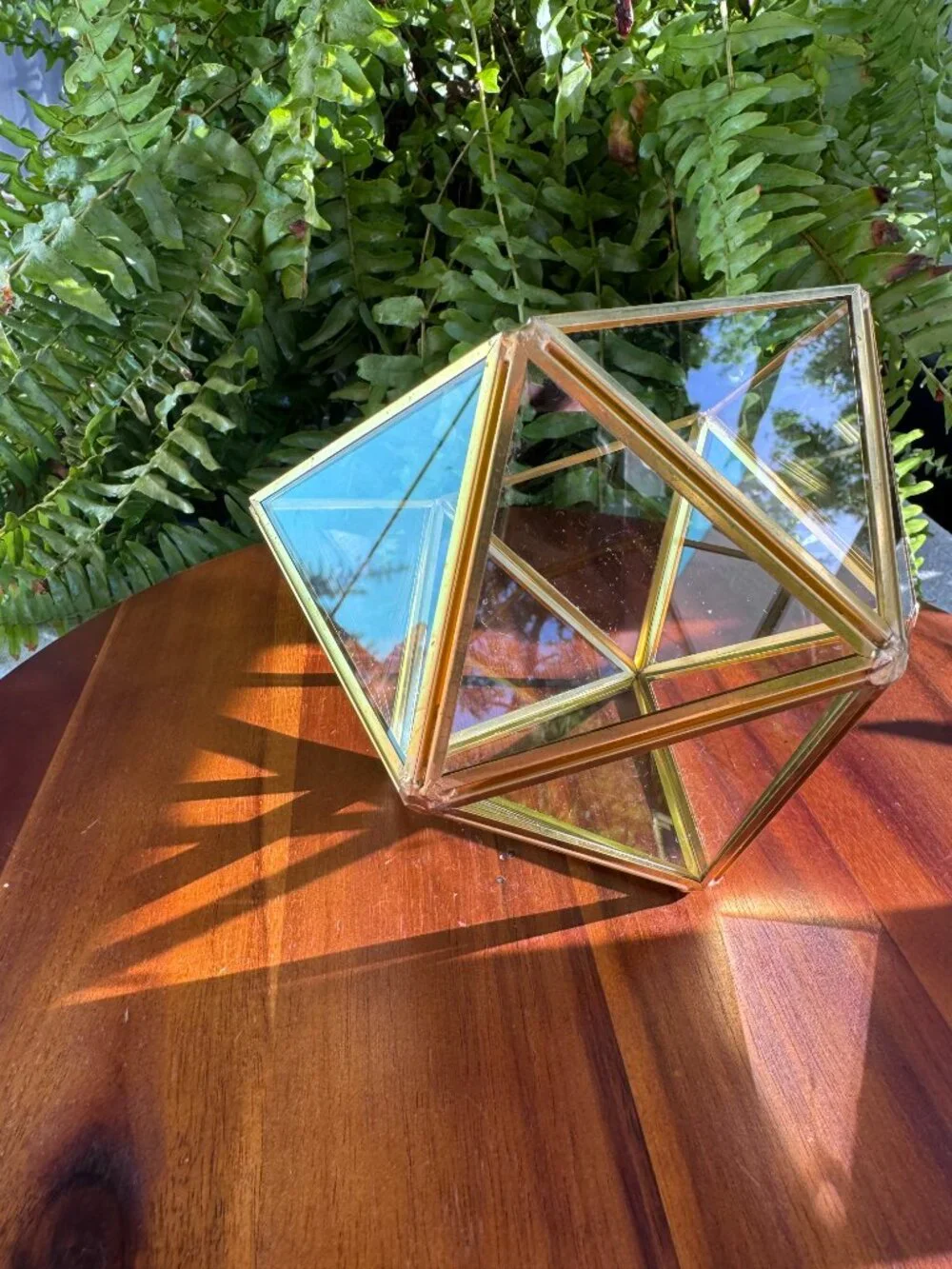 Geometric glass terrarium glass and brass sits on a tip